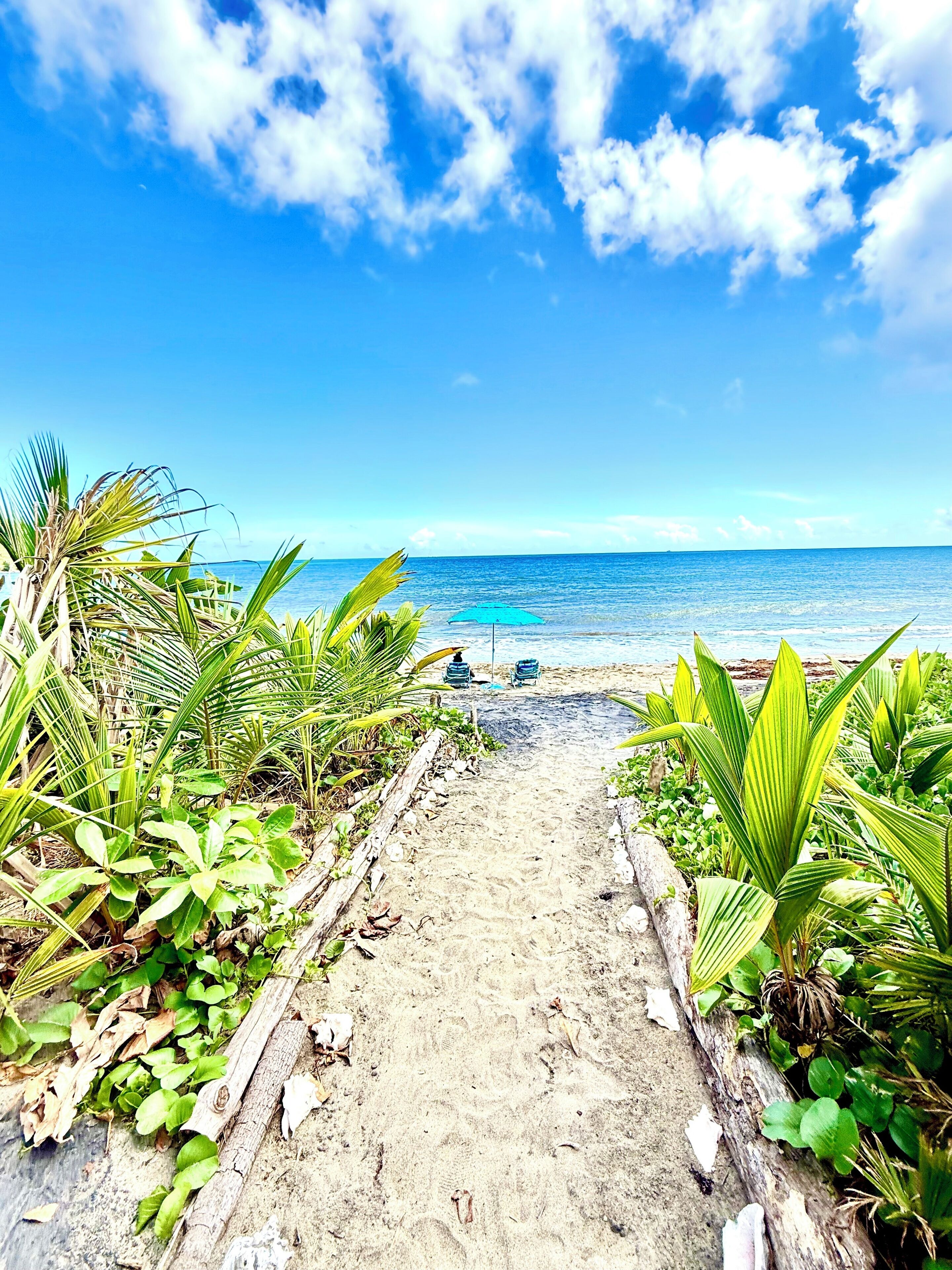 On the beach, sun-loungers, beach towels