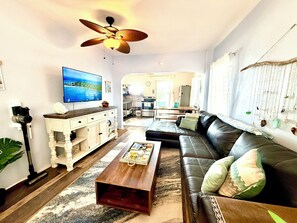 智能電視、壁爐、書籍、音樂庫