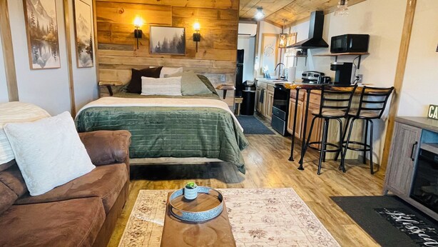 A cozy room with a bed, a sofa, a small table with a plant, and a kitchen area with a bar stool.