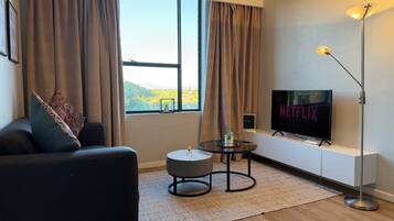 智能電視、書籍