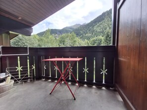 Property grounds - Le nid des Cimes apartment with mountain views (Les Contamines-Montjoie)