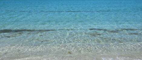On the beach, sun loungers, beach towels