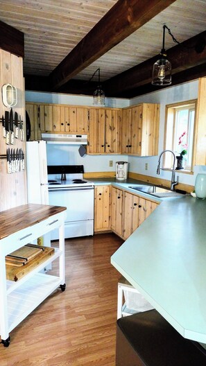 Mikrobølgeovn, ovn, kokeplater og oppvaskmaskin