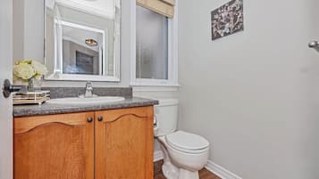 Hair dryer, towels, soap, toilet paper