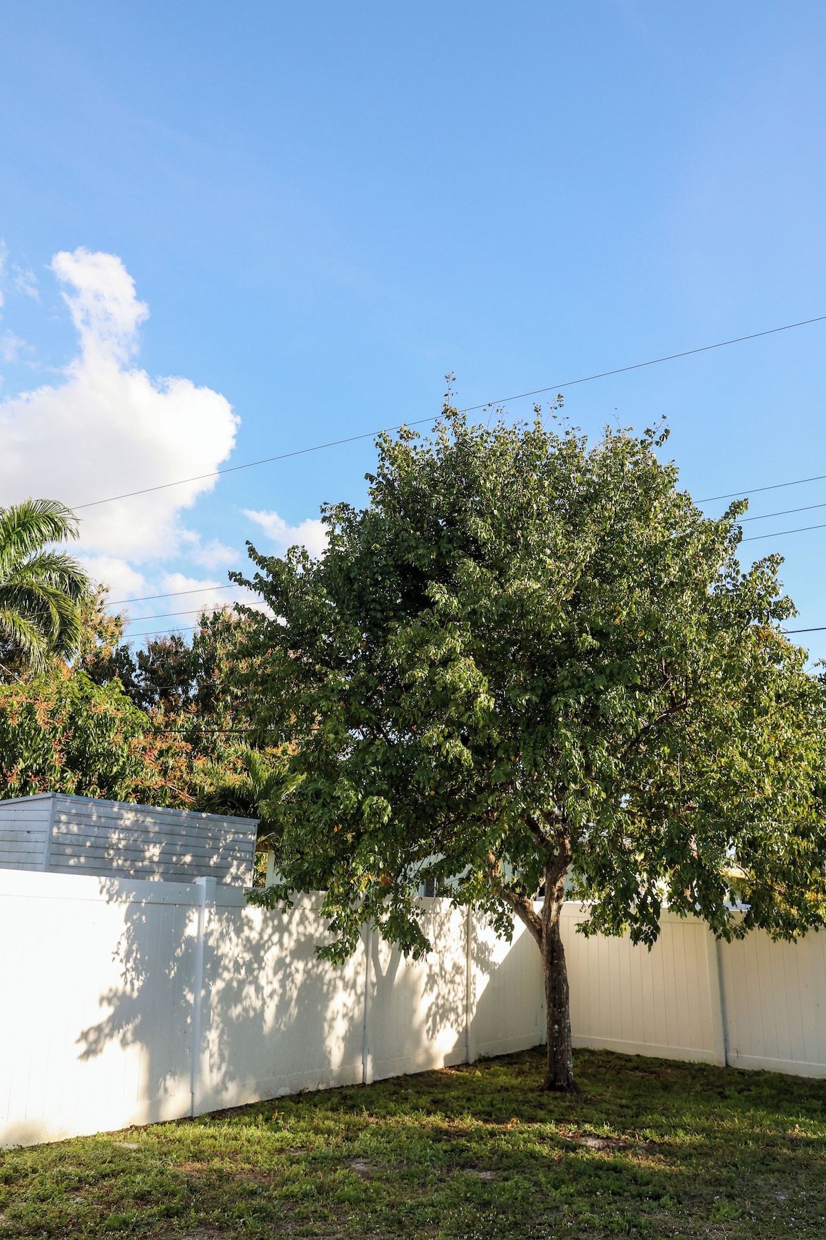 Photo 13 of Newly Renovated Coastal Beach Studio • Walk to Beach • Private & Pet Friendly