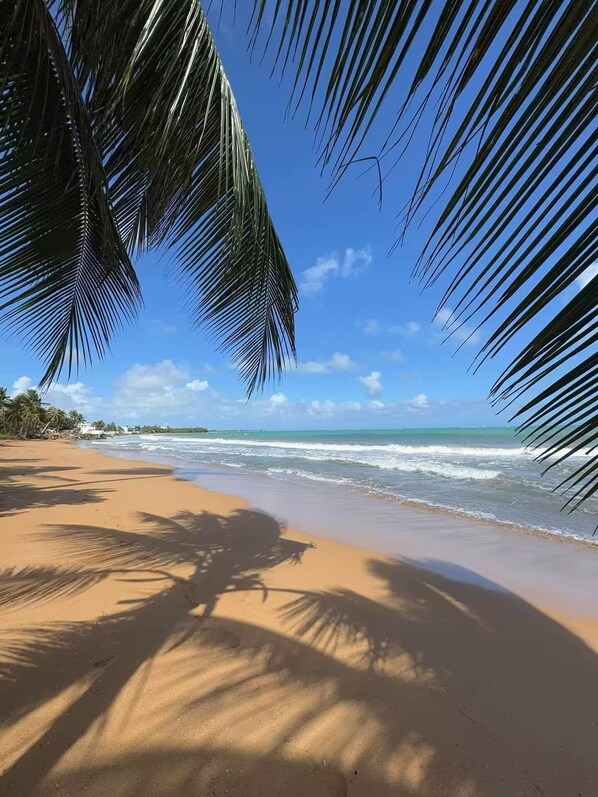 بالقرب من الشاطئ