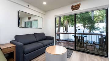 TV, fireplace, books