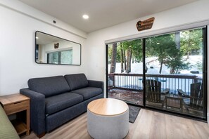 TV, fireplace, books