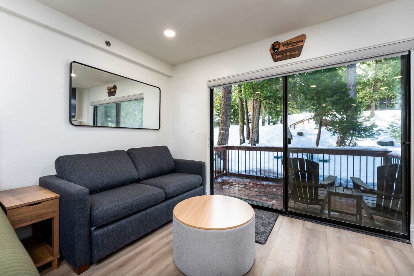 Televisión, chimenea y libros 