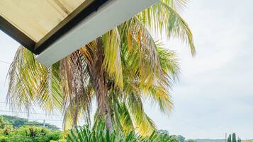 House, Garden View | Terrace/patio