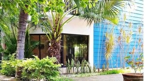 Een verhard pad leidt naar een gebouw met een blauwe gevel, omringd door weelderige begroeiing, waaronder palmbomen en diverse planten.