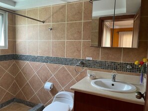 Dusche, Haartrockner, Handtücher, Seife
