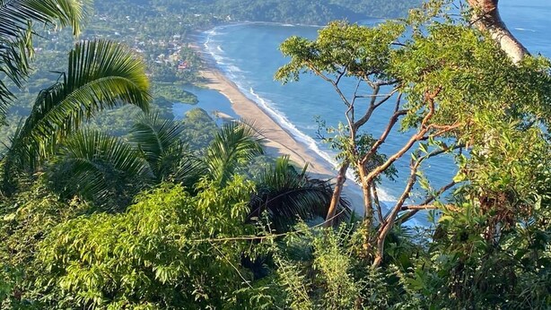 A coastal landscape with a beach, dense greenery, and a tree in the foreground. -  Surrounded by beautiful views + 7 min. walk to the beach (Lo de Marcos)