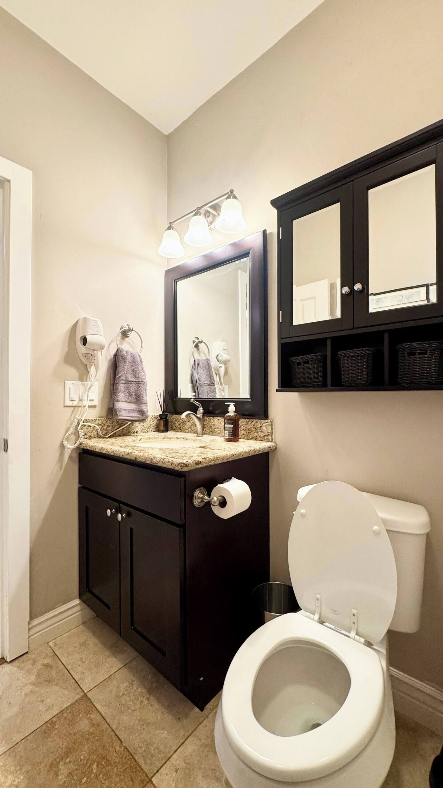 A bathroom with a vanity, a toilet, a mirror, and a hairdryer.