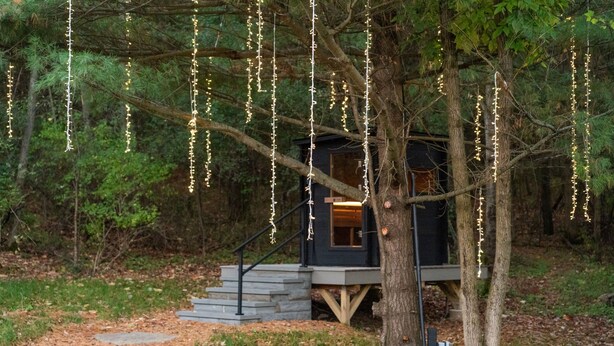 Une cabane perchée dans un arbre, accessible par un escalier, entourée d’arbres et située dans une zone boisée.