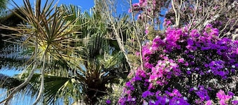 Casa de Luz-Lar in Serr - Double or Triple Room