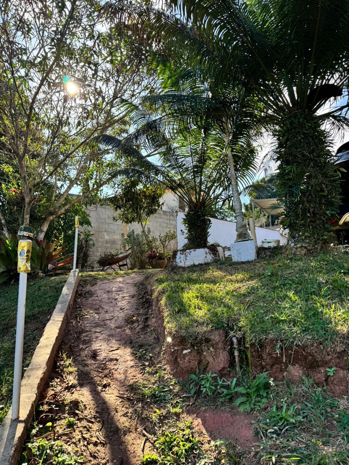 A narrow dirt path flanked by lush greenery and a white wall.