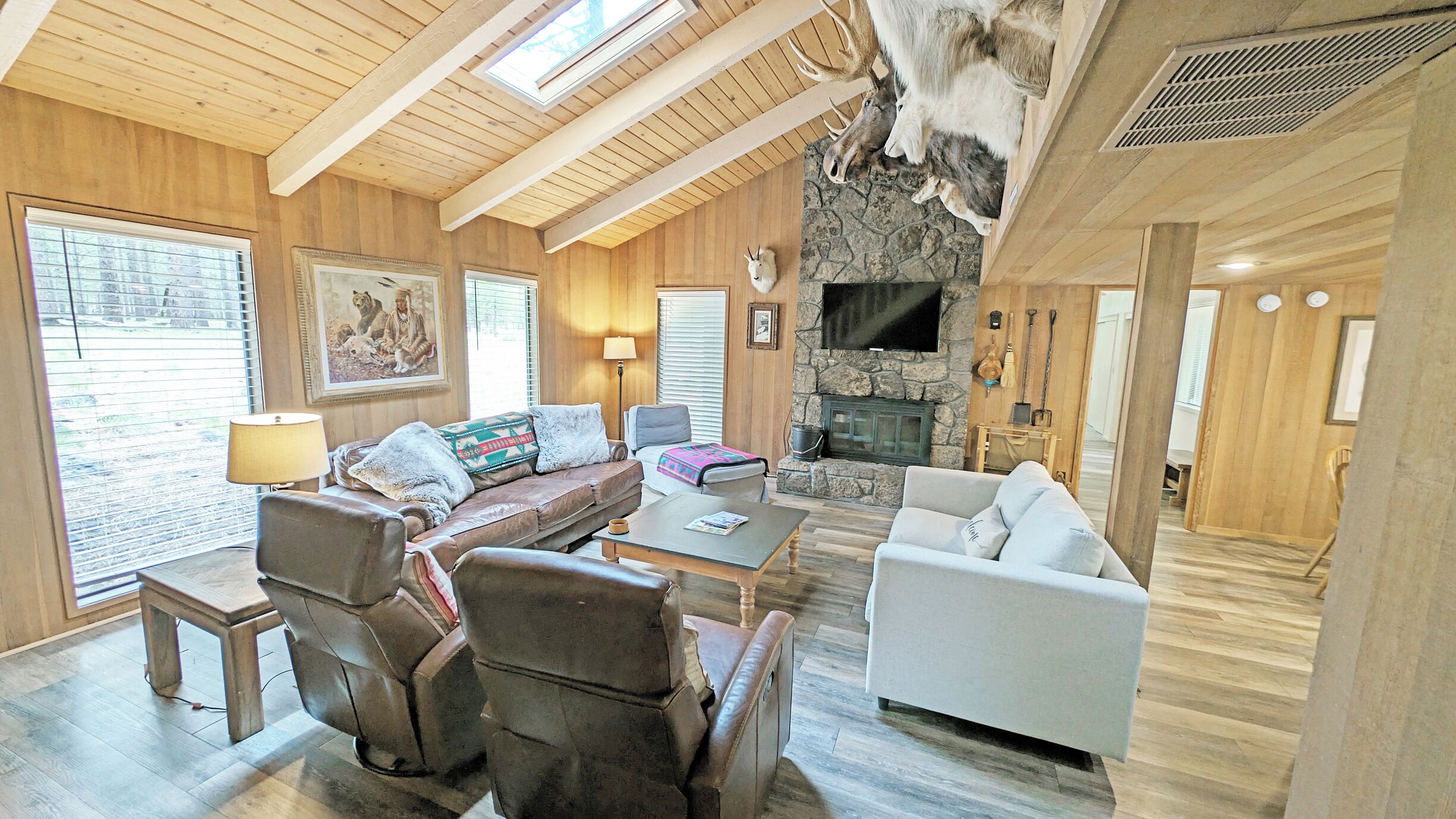 TV, fireplace, books