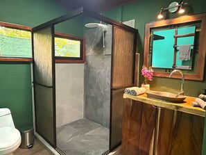 Shower, towels, soap, toilet paper