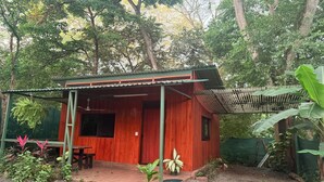 A small wooden cabin with a covered porch, surrounded by lush greenery. - Blue java banana (Tamarindo)