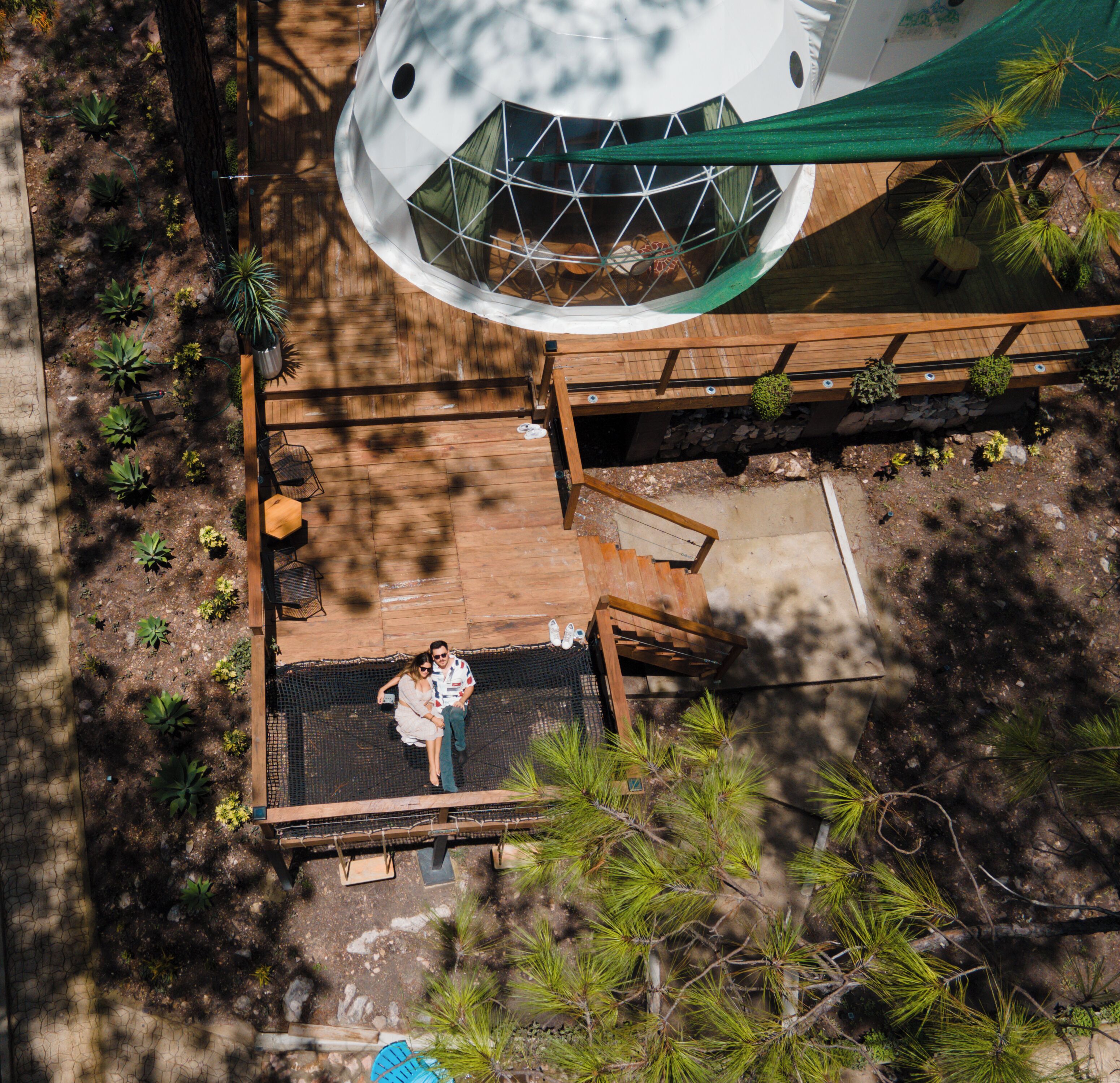 An aerial view of a wooden deck with a circular structure, surrounded by various plants and trees.