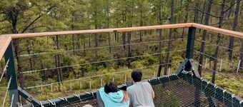 Tiny Pines Glamping