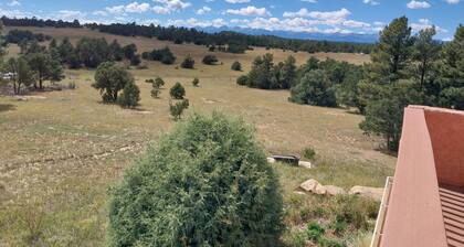 Wonderful 3-bedroom house in Boncarbo CO. Perfect for Hunters.