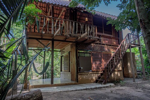 Suite in the Enchanted Forest - Caranazal Alter