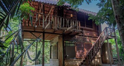 Suite in the Enchanted Forest - Caranazal Alter