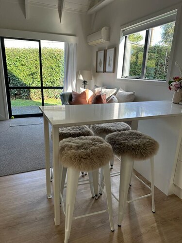 Southfork B  - Aspen Chic meets Methven Cabin