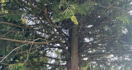 Southfork - New York Loft meets Methven Cabin