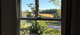 Fully restored 1855 Log Cabin, a modern-rustic retreat