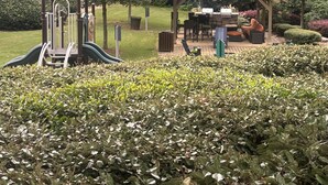 A playground with a slide and climbing structure, a covered picnic area with seating, and a hedge in the foreground. - Cozy Vinings Hideaway 6 (Marietta)