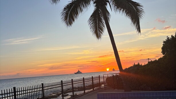 A swimming pool with a view of the sunset over the ocean, a palm tree, and a fence along the water's edge.