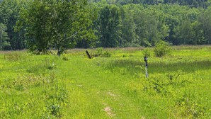 A rural landscape with a grassy field, a tree, and distant mountains. - White Mountain Cottage, Birchcliff (Shelburne)
