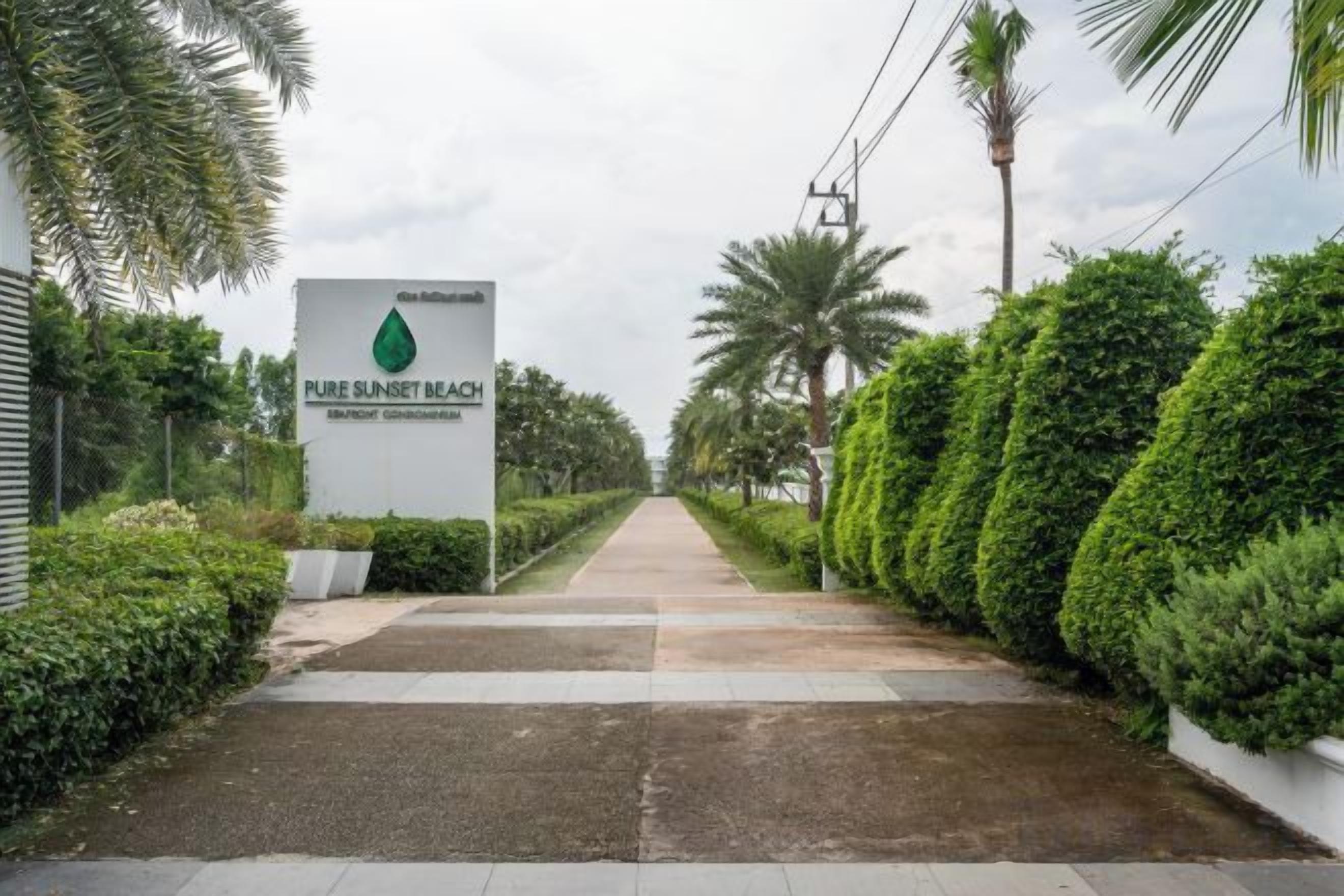A pathway leading to a sign for Pure Sunset Beach, surrounded by neatly trimmed hedges and palm trees.