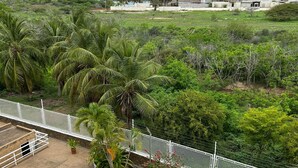 Uma área de piscina com cerca branca, palmeiras e vista para um prédio grande ao fundo.