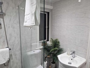 Shower, hair dryer, towels