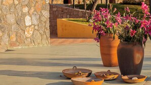 Terracotta pots with pink flowers and small bowls on a patio. - Casa Xaguar (Miahuatlan de Porfirio Diaz)