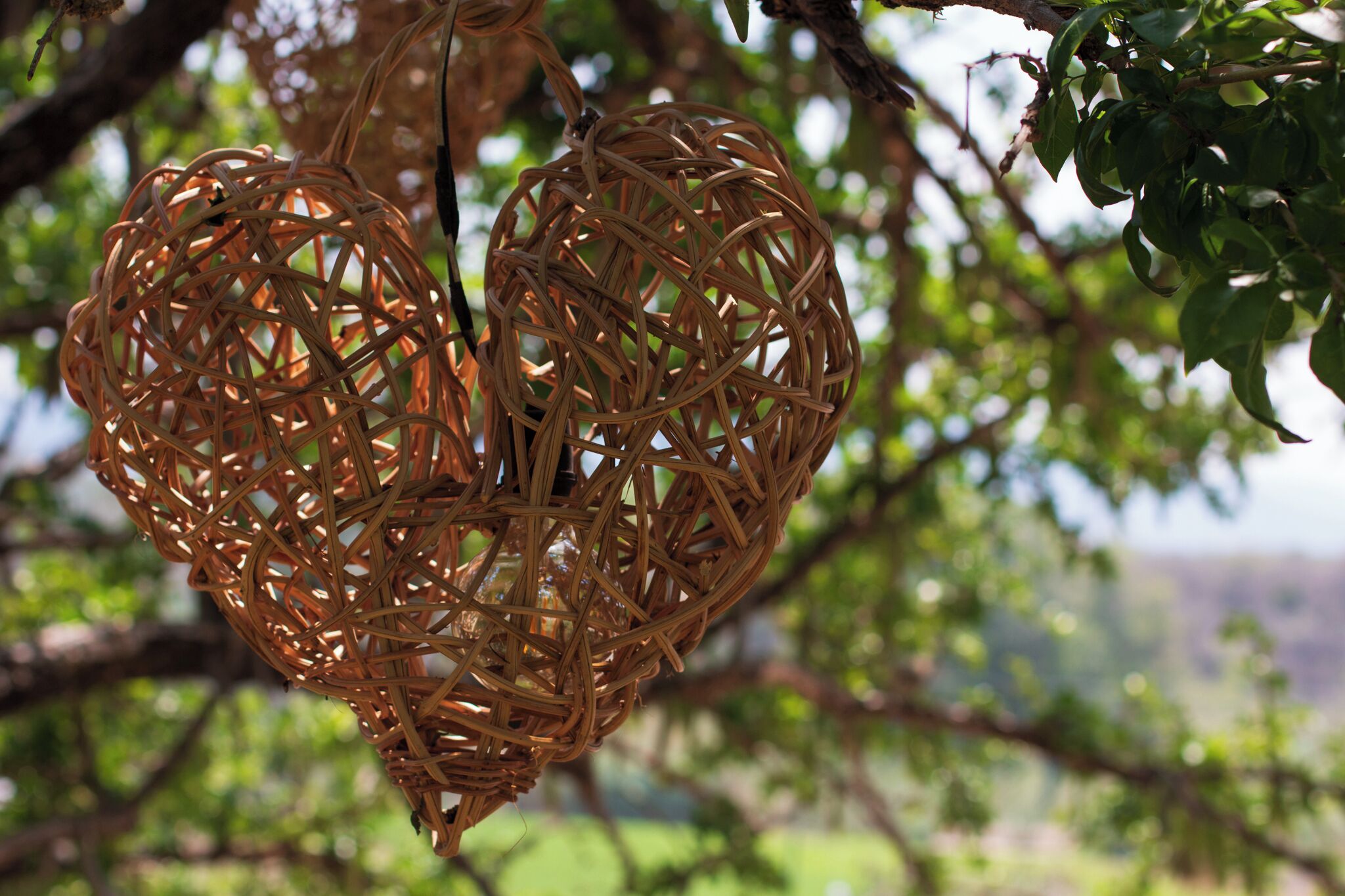 A wicker heart-shaped decoration hanging from a tree branch.