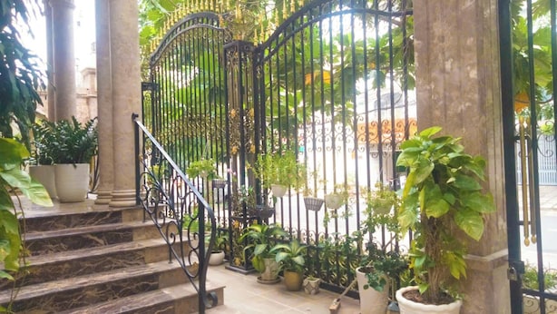 A staircase leading to a gated entrance with potted plants. - Van Loi Home (Ho Chi Minh City)