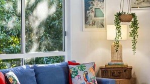 A living room with a blue sofa, a wooden coffee table, and a hanging plant. - Tropical Family Hideaway, Noosa Heads (Noosa Heads)