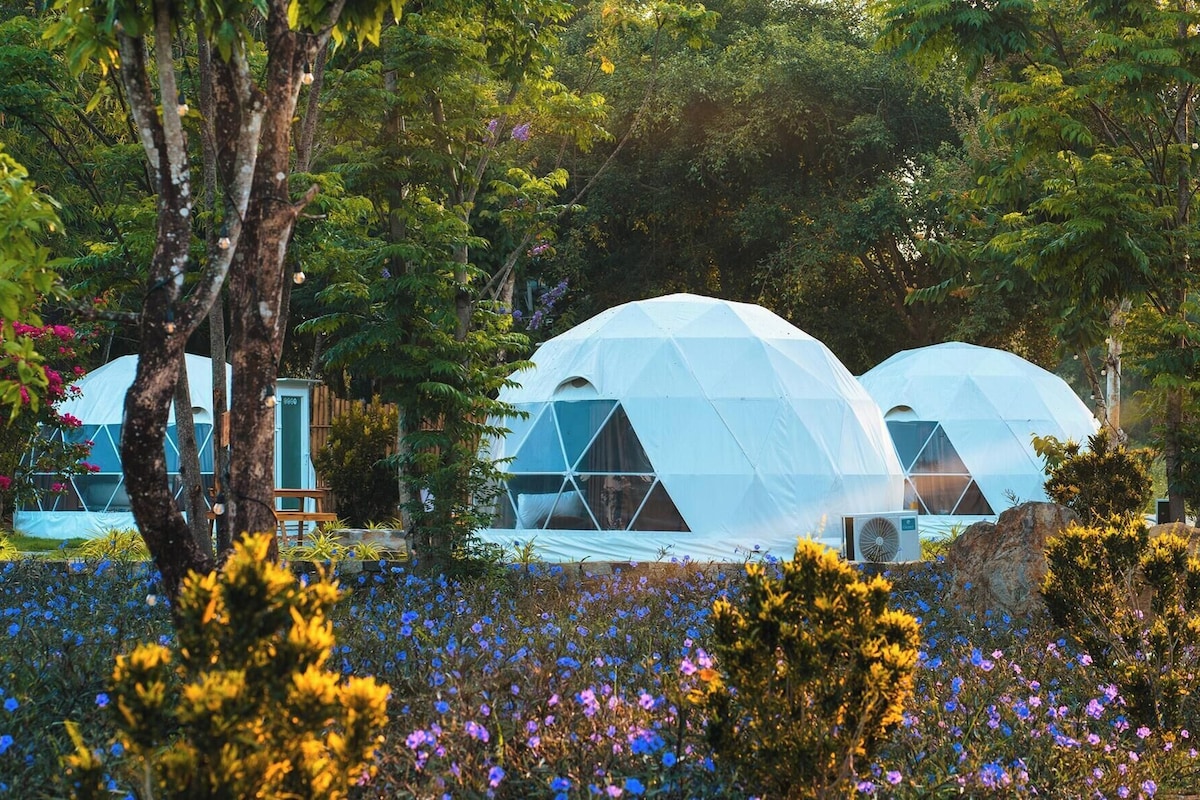 Een tuin met witte geodetische koepels, omringd door weelderig groen en kleurrijke bloemen.