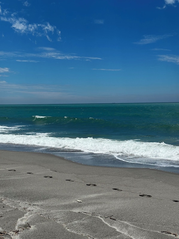 Sun loungers - Beachfront Getaway ~ Private Pool & Ocean Views (Botolan)