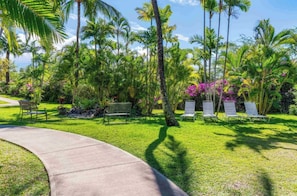 Property grounds - Chic Maui Studio Steps from Beach & Ocean (Kihei)