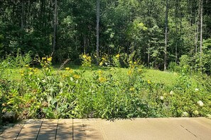 المنطقة المحيطة بالمنشأة