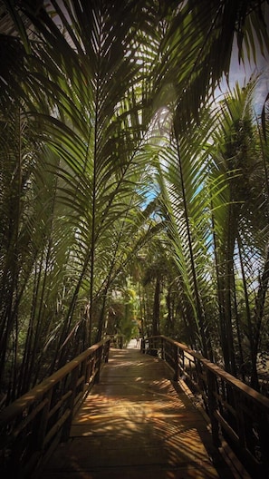 Jardín