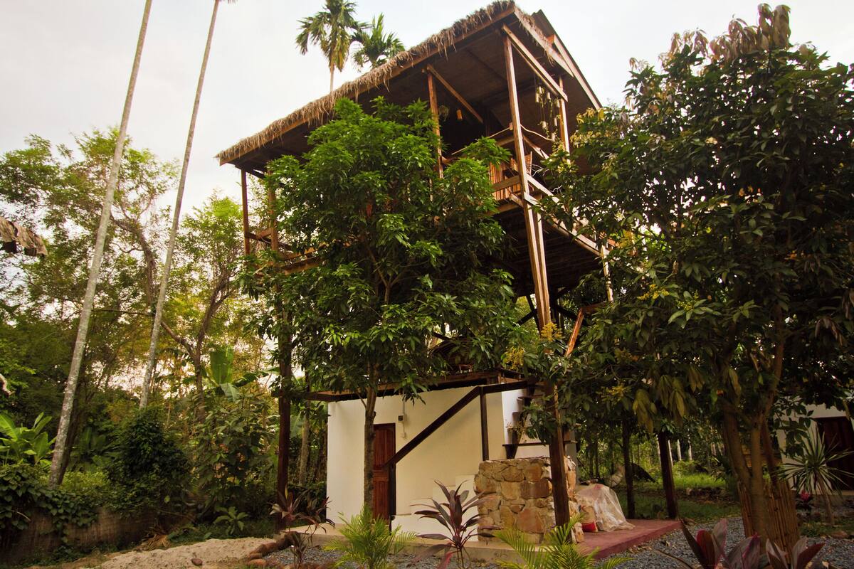 A rustic wooden structure with a thatched roof, surrounded by lush greenery and trees.