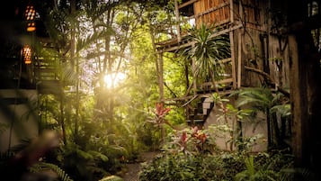 Jardín