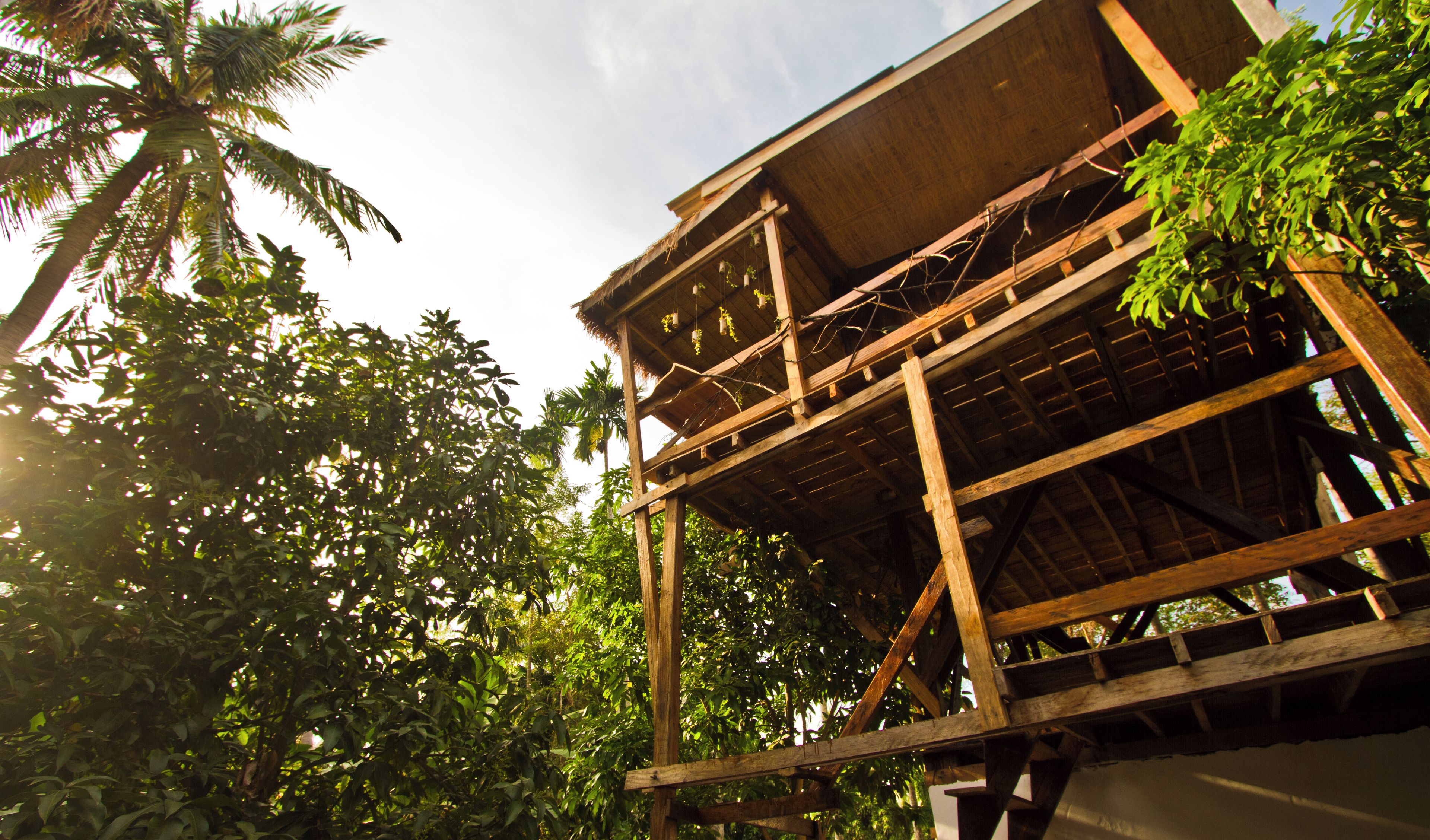 A wooden structure with a thatched roof, surrounded by lush greenery and palm trees.